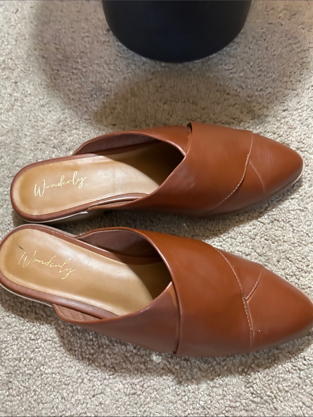 Wonderly Brown Pointed Toe Slip-On Mules